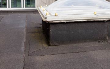 disadvantages of Ellington flat roofs